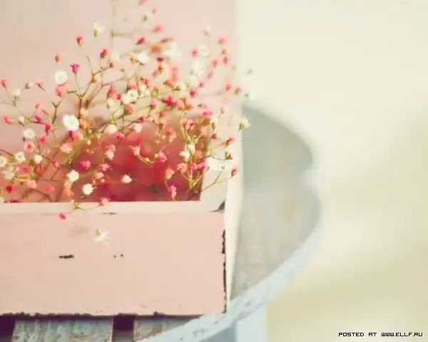 Ванильные фотографии Габриэль Кай