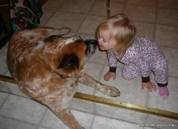 Дети и животные