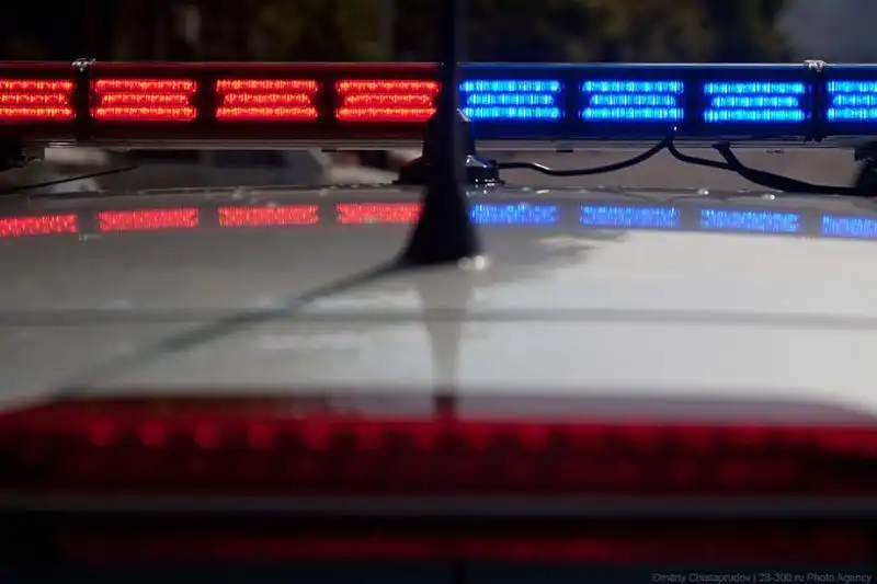 Господа полицейские в Грузии