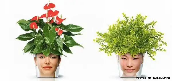 Цветочная голова