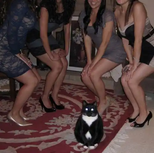 Фото приколы дня