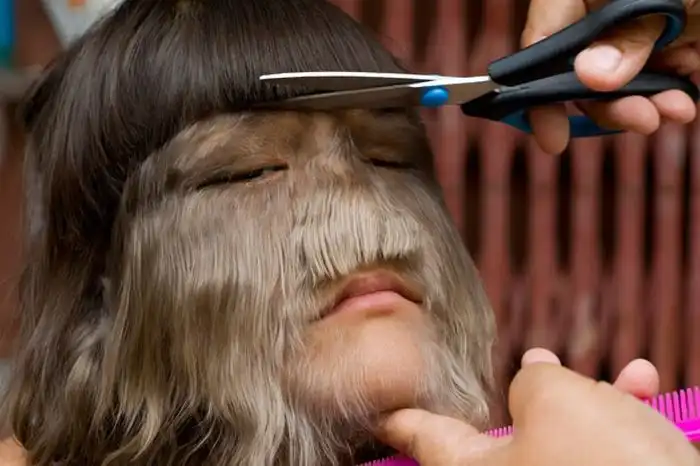 Девочка-волк