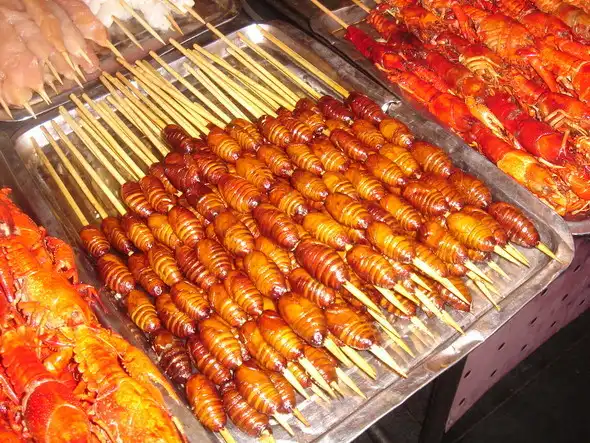 Омерзительные деликатесы со всего света