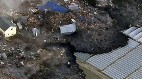 Туристы не увидят сакуру: Японию смывает и трясет