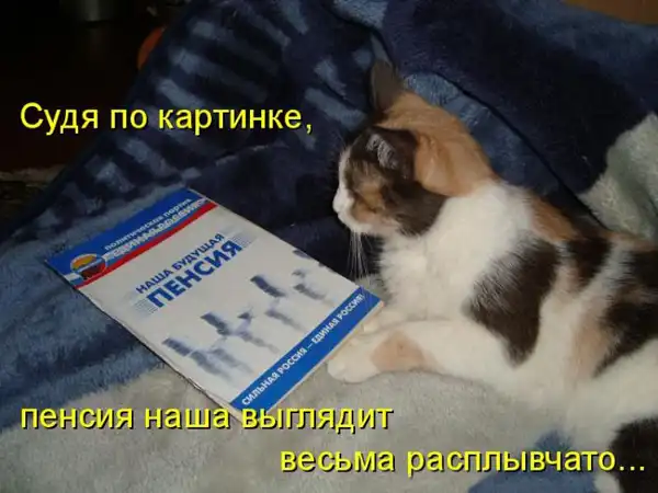 Веселые котоматрицы