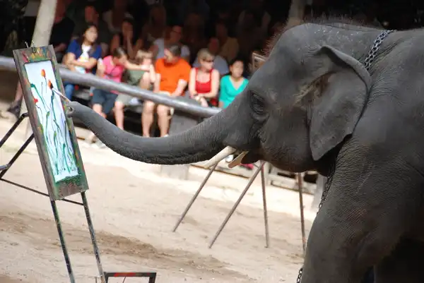 Слоны рисуют