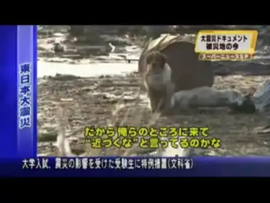 Бесконечная верность!