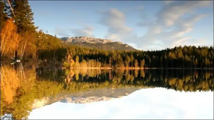 Идеальное отражение