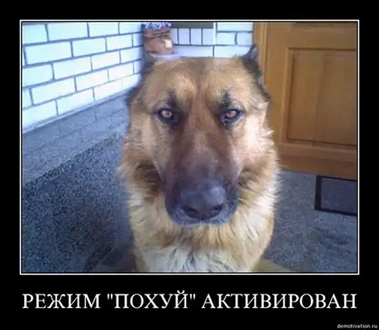 Картинки в рамках