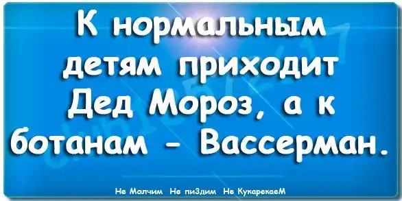 Статусы, цитаты, анекдоты