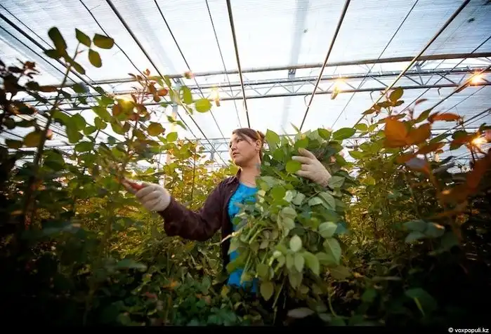 Праздник цветов