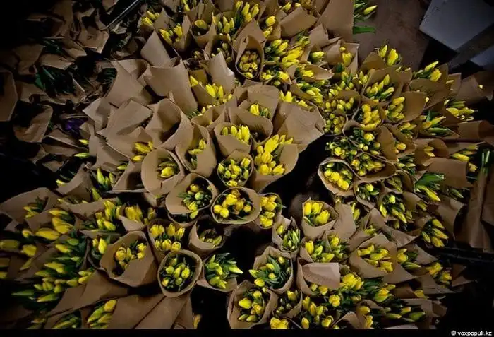 Праздник цветов