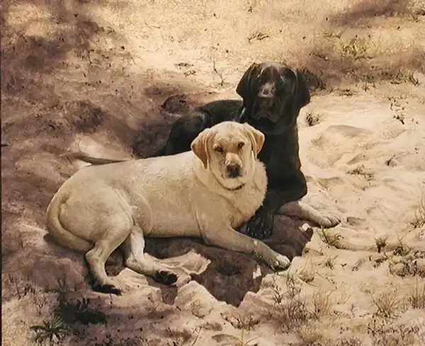 Нарисованные животные