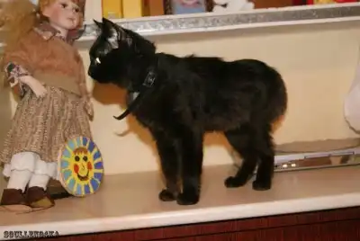 Бакс ждёт тебя