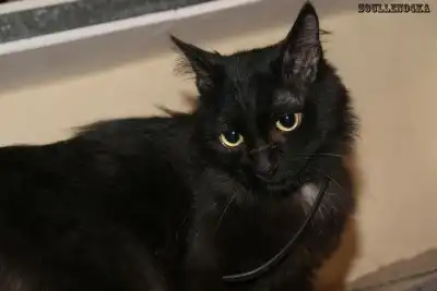 Бакс ждёт тебя