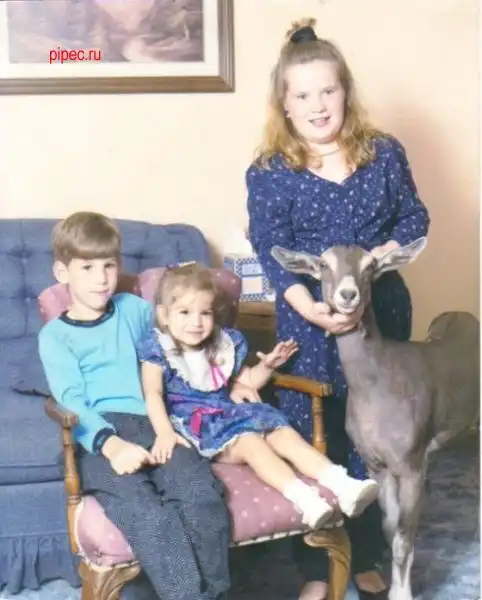 Домашние питомцы