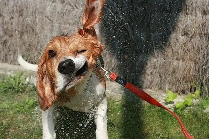 Фотографии, сделанные в нужный момент