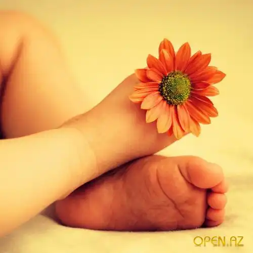 Фотограф Monika Zborowska