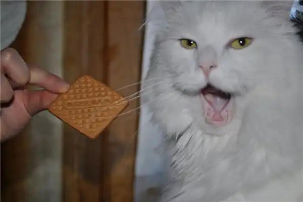 Приятного аппетита!