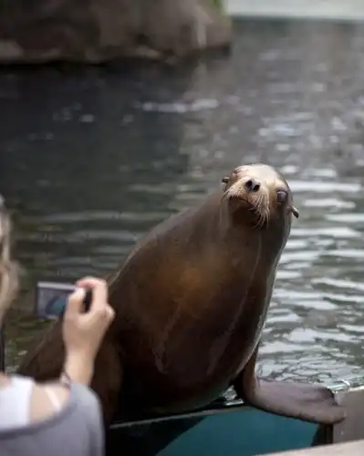 Подборка фото