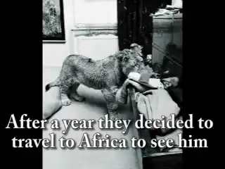 Трогательное видео