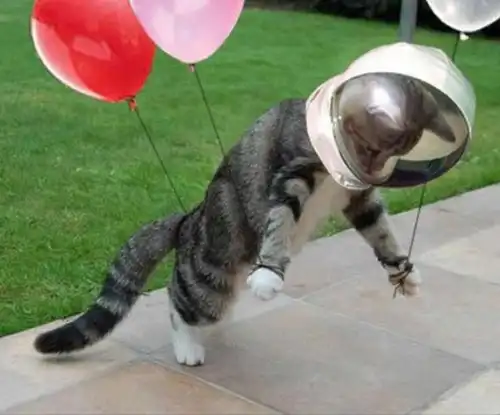 Как мы с Жучкой щелкались