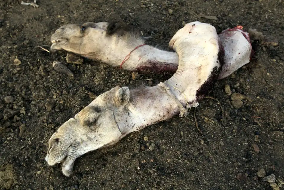 Натуральная еда )