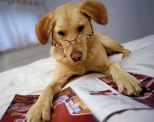 Много фактов. Часть 1