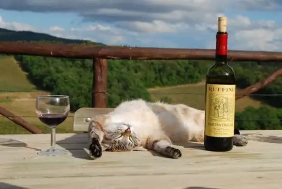 Подборка фотографий,..