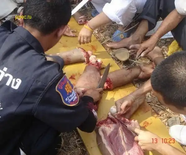 Жесть я предупреждаю