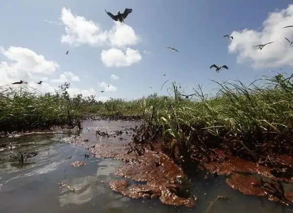 Америка гибнет?!