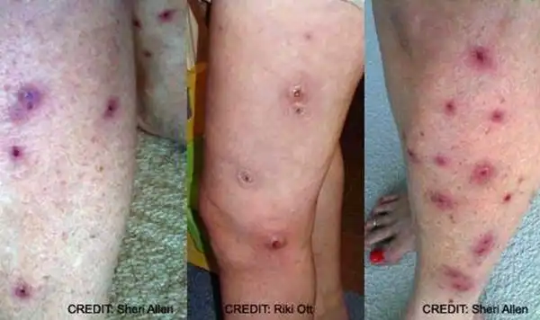 Америка гибнет?!