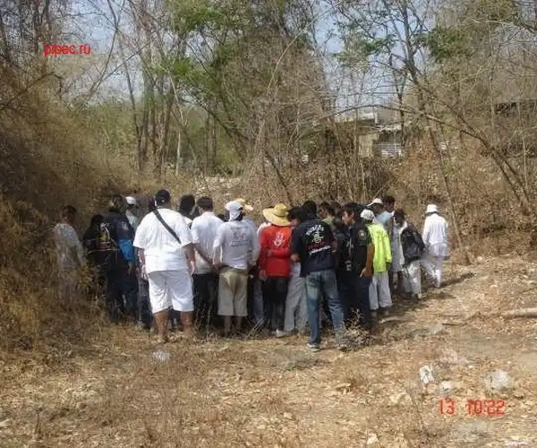 Жесть я предупреждаю