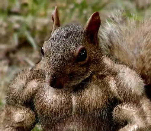 100 подвигов настоящего мужчины