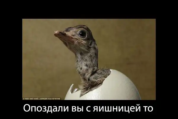 Картинки в чёрных рамках