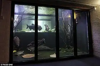 Самый большой в мире домашний авариум