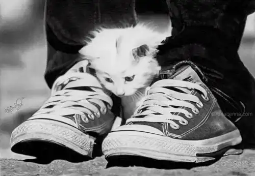 Рисунки карандашом (18 фото)