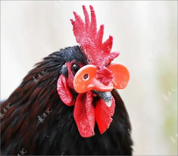 Крутые очки для поддержания дисциплины