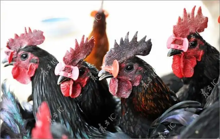 Крутые очки для поддержания дисциплины