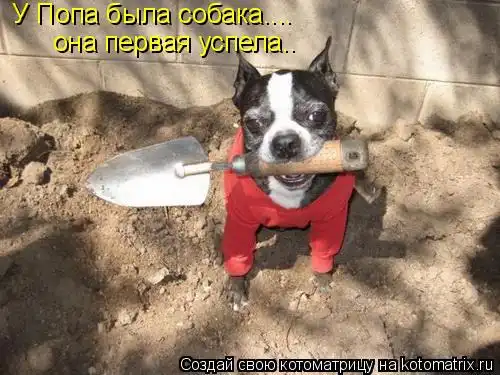 Котоматрицы