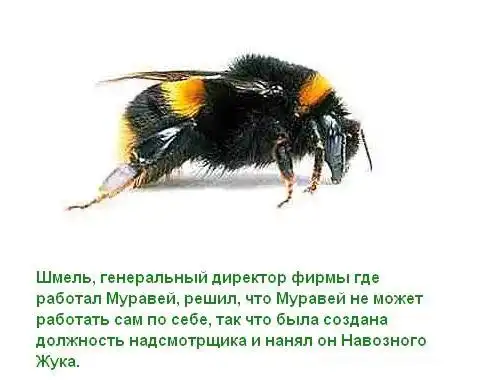 Притча о работе