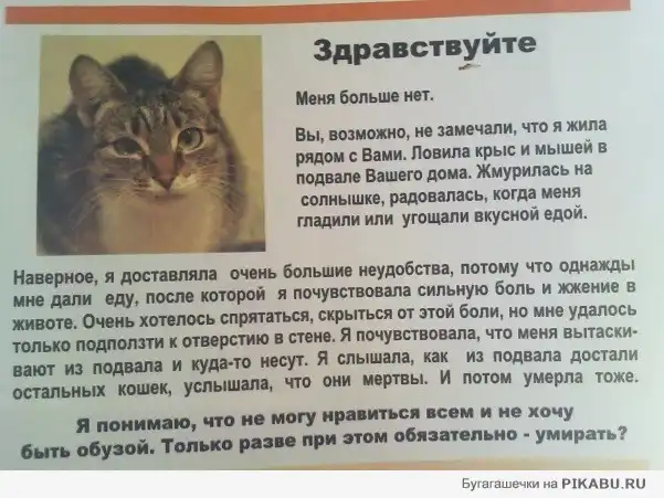 Здравствуйте. Меня больше нет