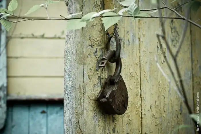 В гостях у бабушки Зины