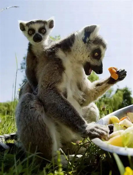 Фотоподборка