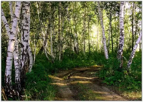 Бескрайная  сибирь