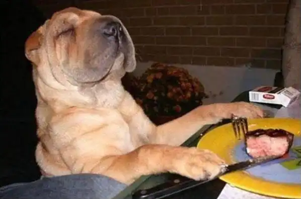 Подборочка)