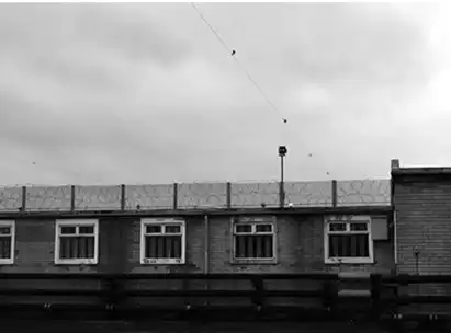 Топ 10 побегов