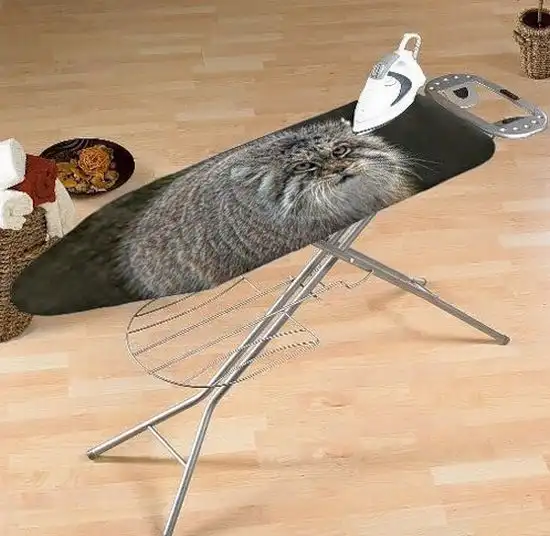 Всякая "приколовсячина" и не только