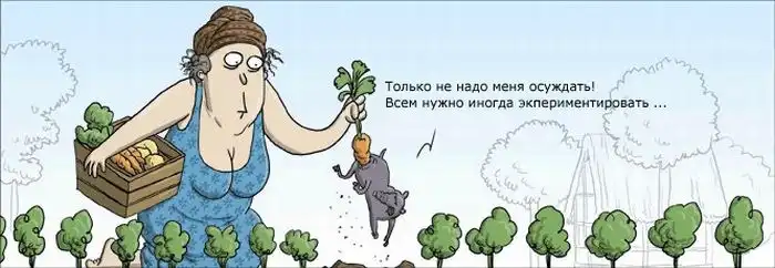 Комиксы от Wulff & Morgenthaler