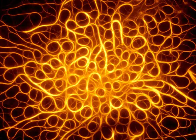 Завораживающие макрофото